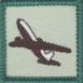 Flight Level 1 Achievement Badge