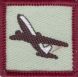 Flight Level 2 Achievement Badge